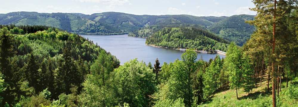 Waldhotel am Stausee