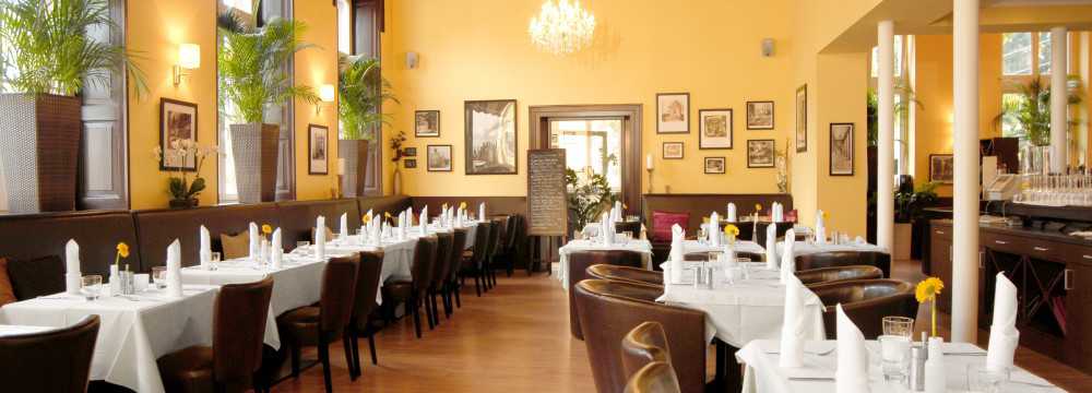 Mezzo Restaurant