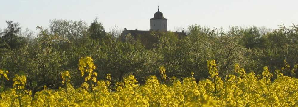 Schloss Hallburg