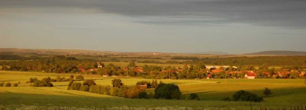 Rennstieg-Hotel Rettelbusch & Waldgasthof Hainich Haus 