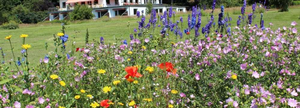 Landhotel Gasthof Hubertus