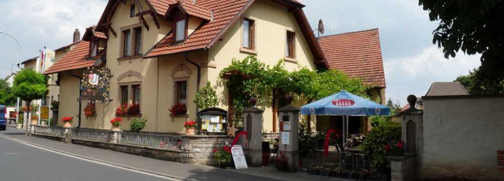 Brauner Bär und weiße Taube