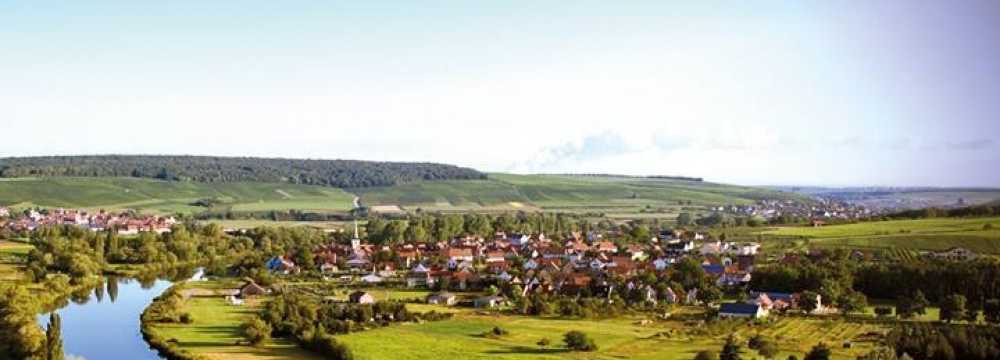 Brauner Bär und weiße Taube