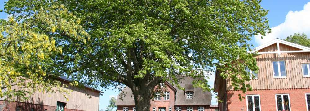 Janbeck*s FAIRcafé in Gelting