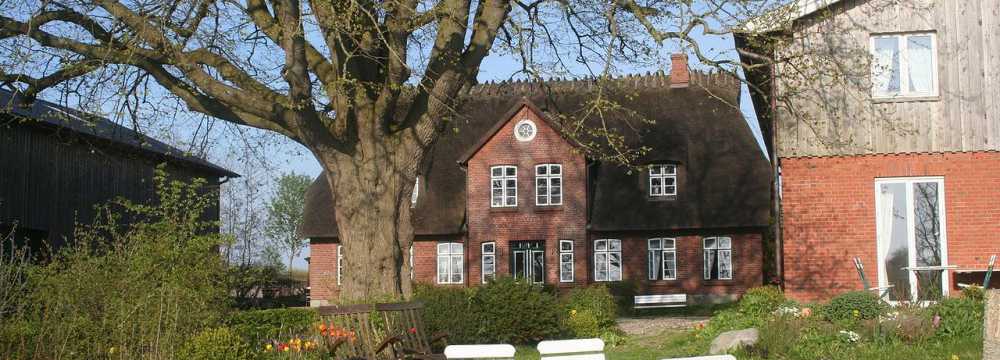 Janbeck*s FAIRcafé in Gelting