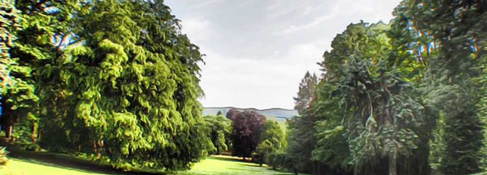Schloss Hotel Wolfsbrunnen