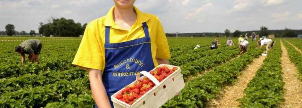 Spargel- und Erlebnishof Klaistow