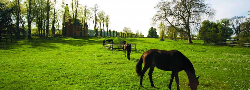 Hotel & Restaurant Ole Liese