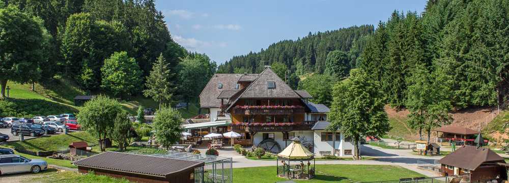 Schwarzwaldgasthof Tannenmühle