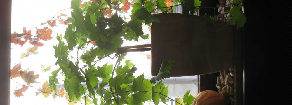 Osteria