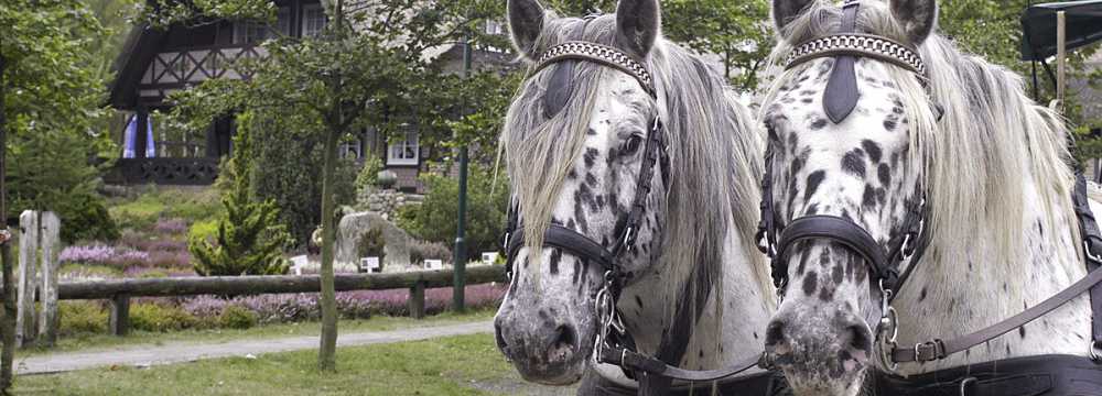 Underloher Hof