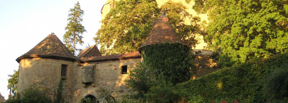 Burg Guttenberg Gastro GmbH