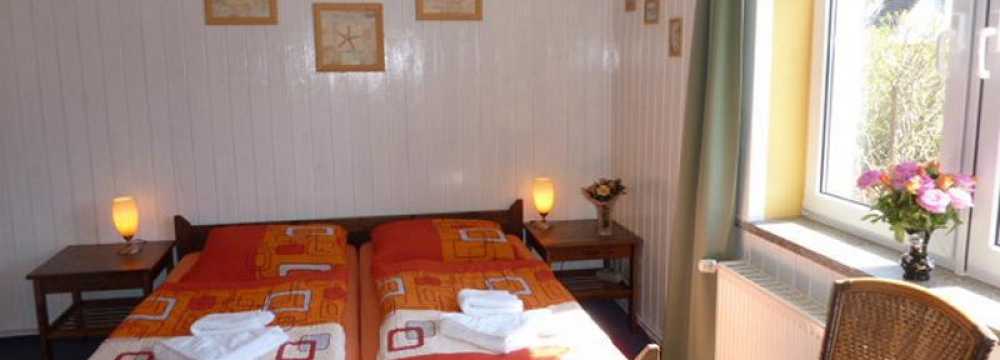 Stranddistel Insel Hiddensee