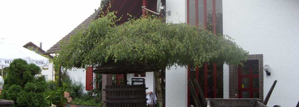 Restaurant Meson el Toro