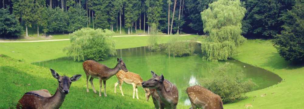 Wildpark-Restaurant Schwarze Berge