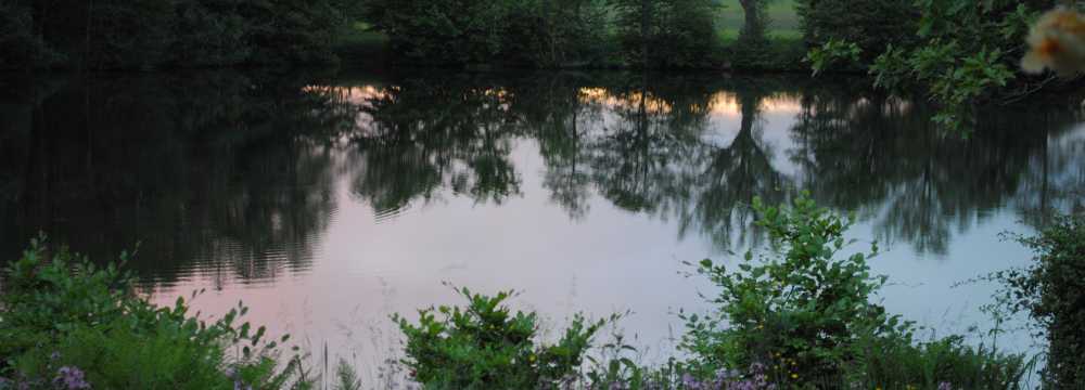 Landhotel Seelust