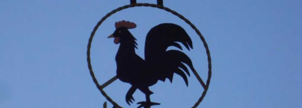 Gallo Nero