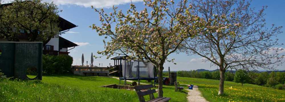 Seiserhof &Seiseralm - Hotel Restaurant