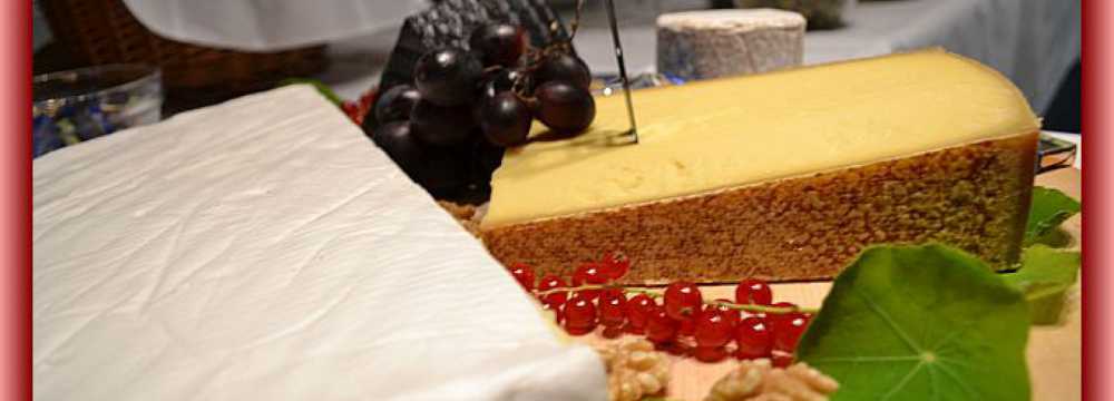 Zum Weinbrunnen