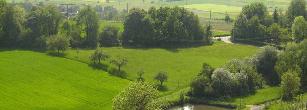 Panorama Hotel & Restaurant Schloßberg