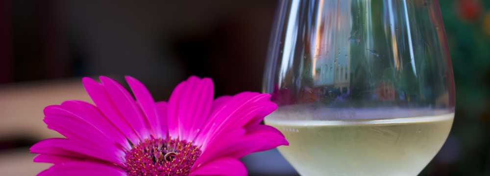 Bragato Vini & Gastronomia