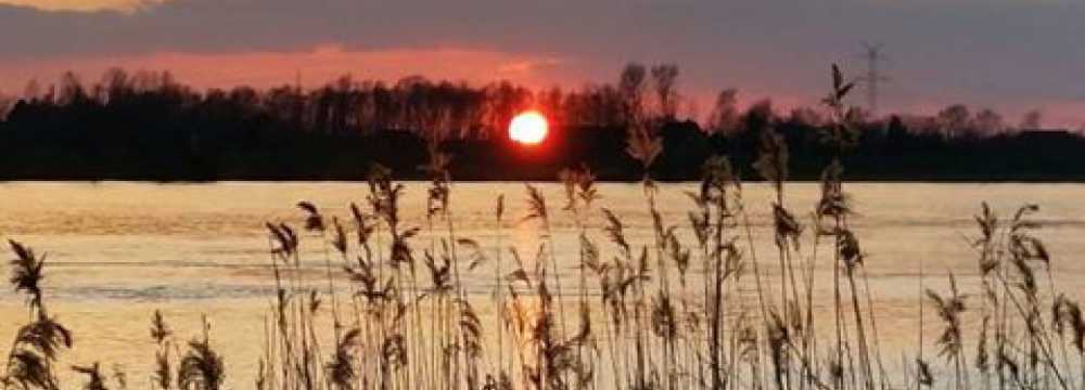 elb-matrose
