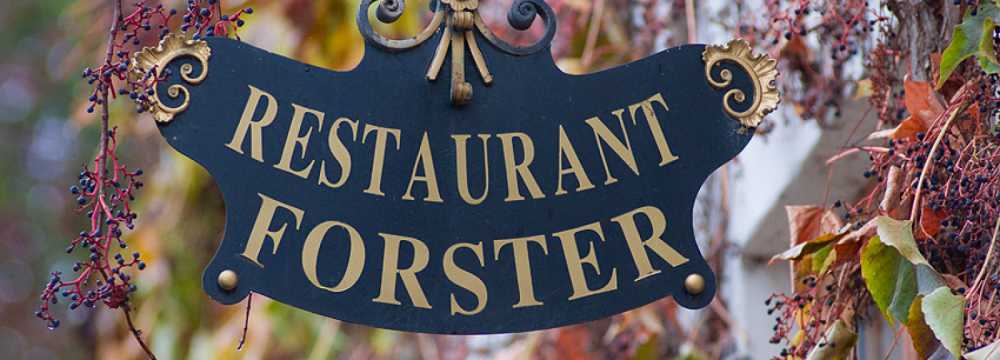 Landgasthof Forster