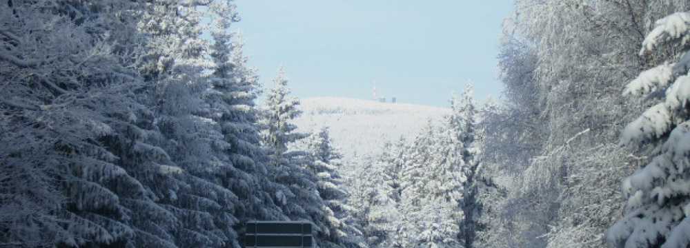 Gasthof Stadel