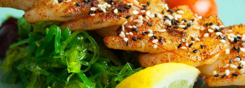 Fisch & Fröhlich