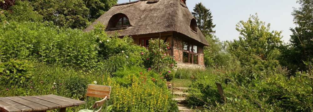 Alge Veggie Bistro Börzow