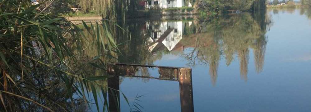 Gasthaus Fischküche Reck