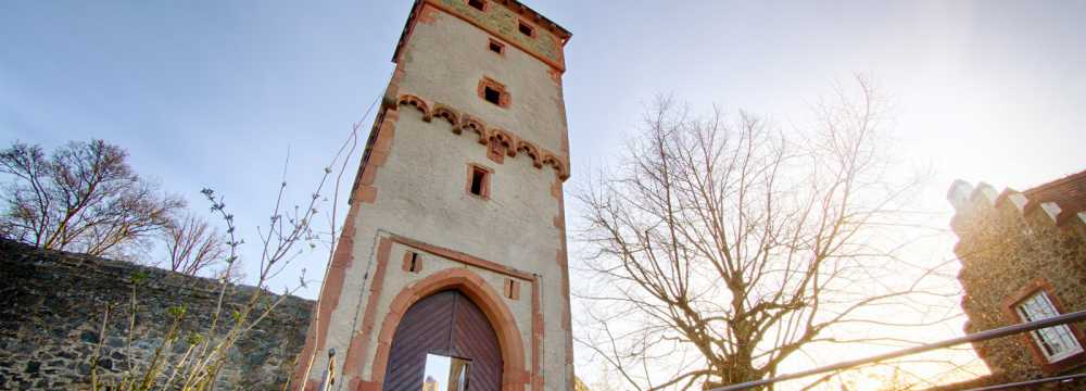 Burg Frankenstein