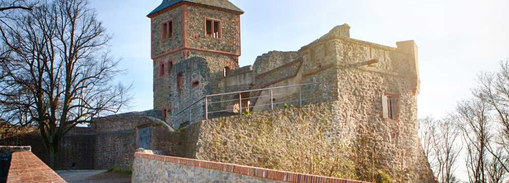 Burg Frankenstein
