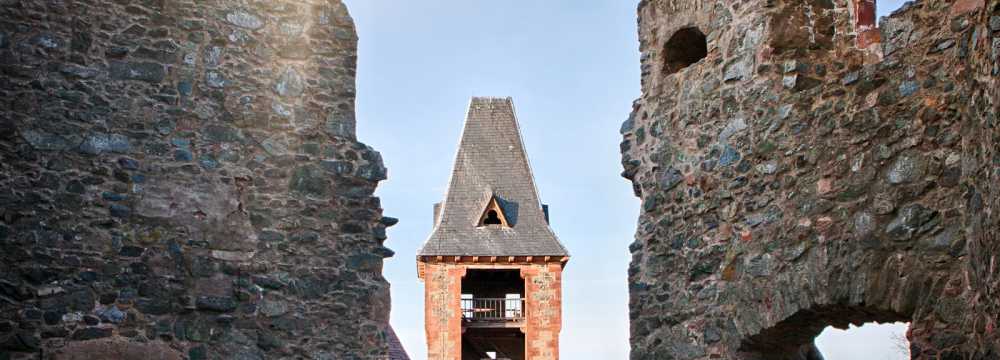 Burg Frankenstein