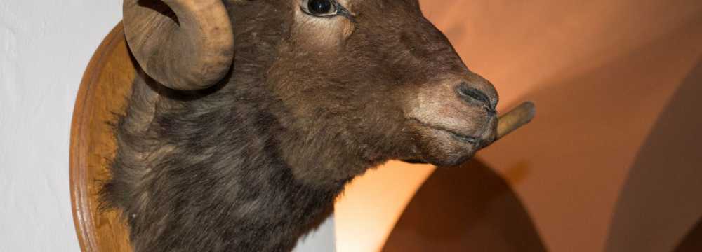 Schankwirtschaft 'Zur Schwarzen Kunst'