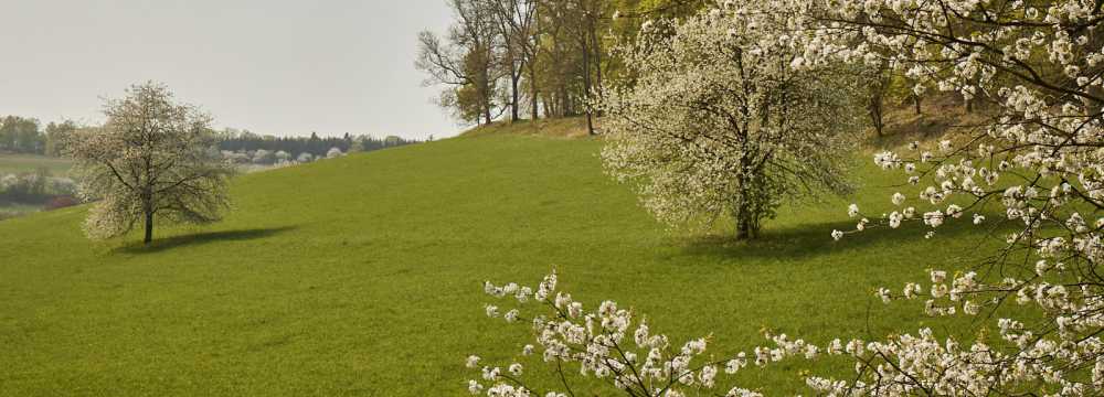 La Vallée Verte im Hotel Hohenhaus