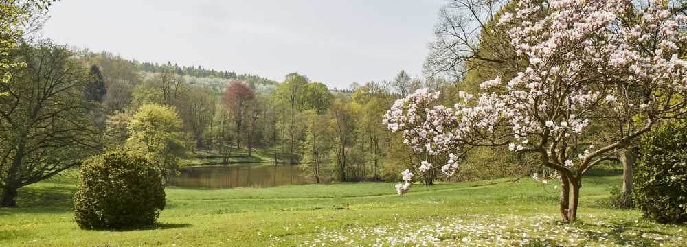 La Vallée Verte im Hotel Hohenhaus