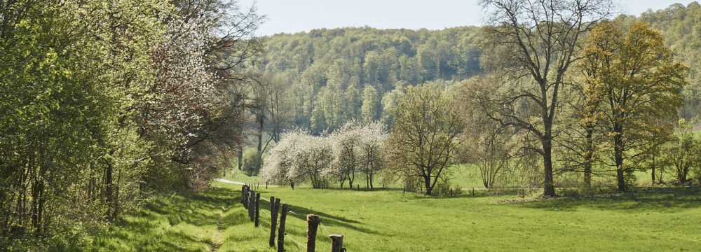 La Vallée Verte im Hotel Hohenhaus