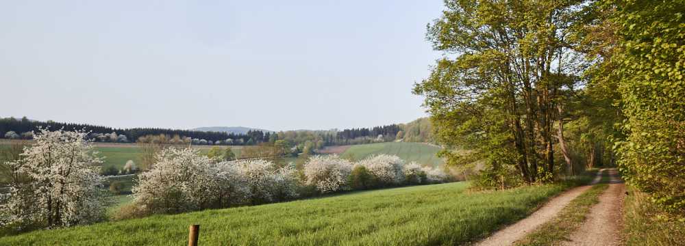 La Vallée Verte im Hotel Hohenhaus
