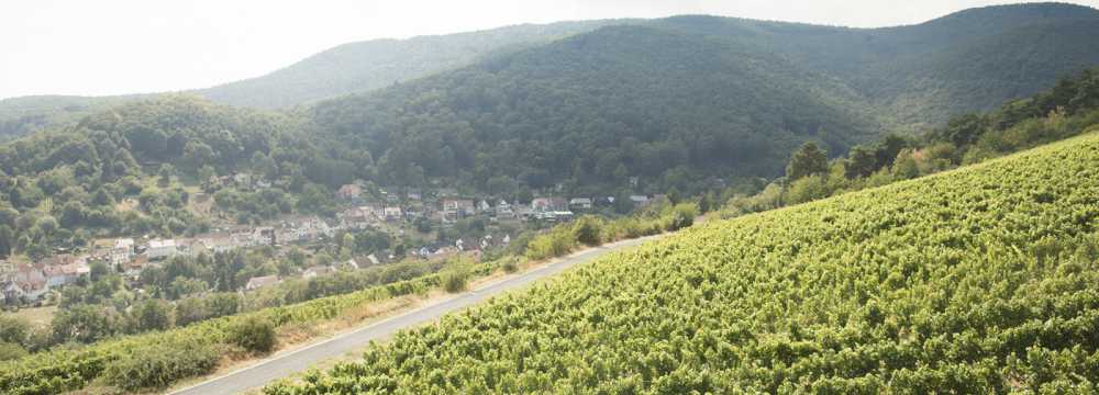 Haus am Weinberg