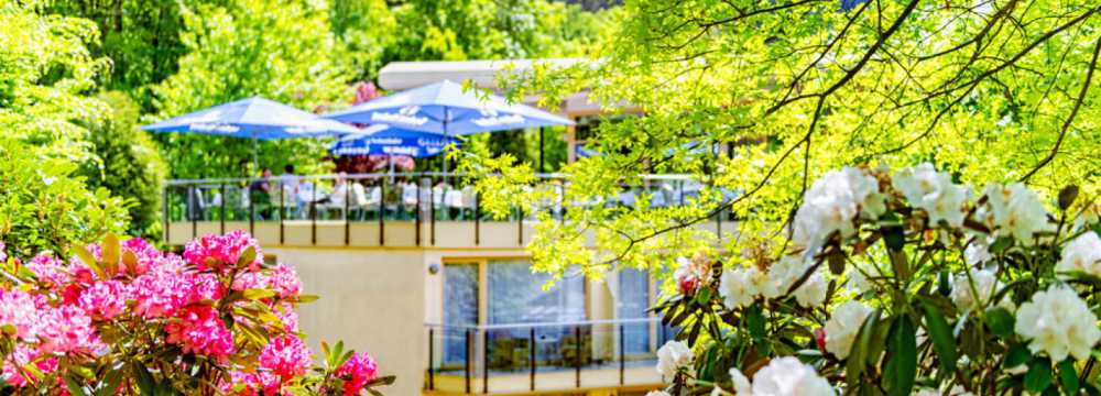 Hotel Restaurant 'Villa Marburg im Park'