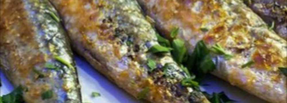 SABORES