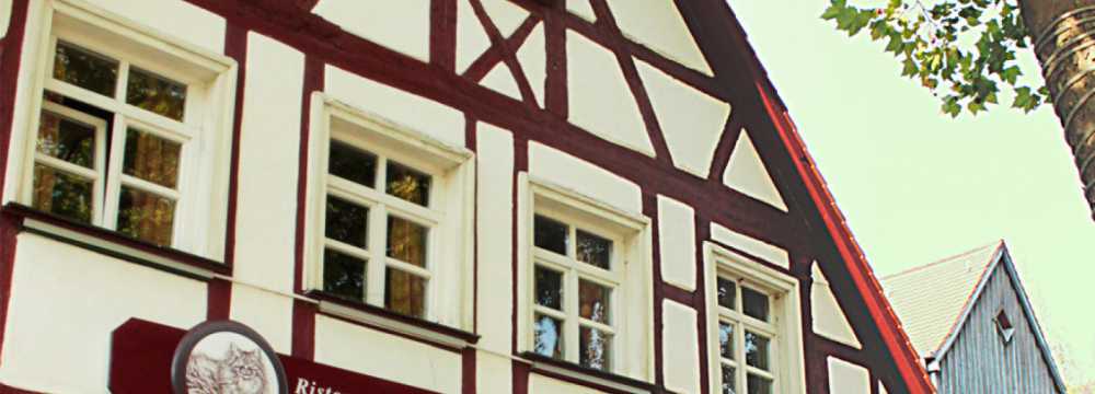 Ristorante dal Gatto Rosso