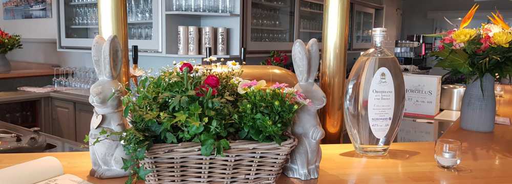Restaurant Elbterrasse