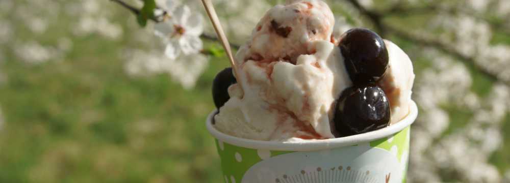 amore & gelati