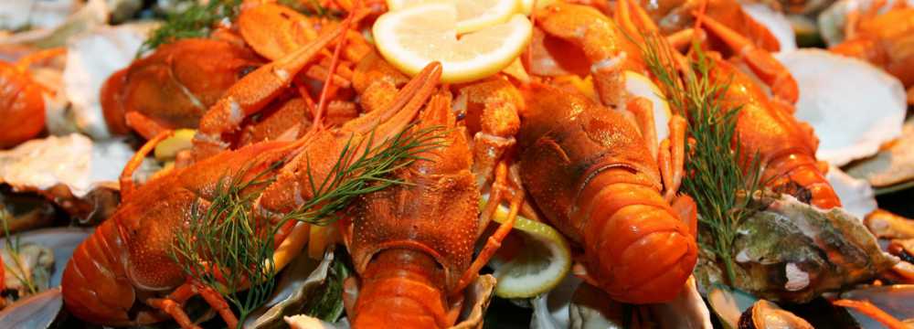 Ristorante Il Pescatore Italienisches Catering Events Hochzeiten