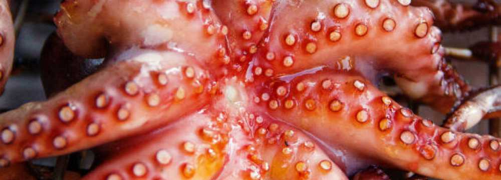 Ristorante Il Pescatore Italienisches Catering Events Hochzeiten