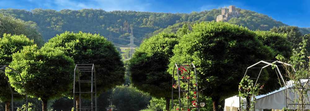 Restaurant Rosengarten