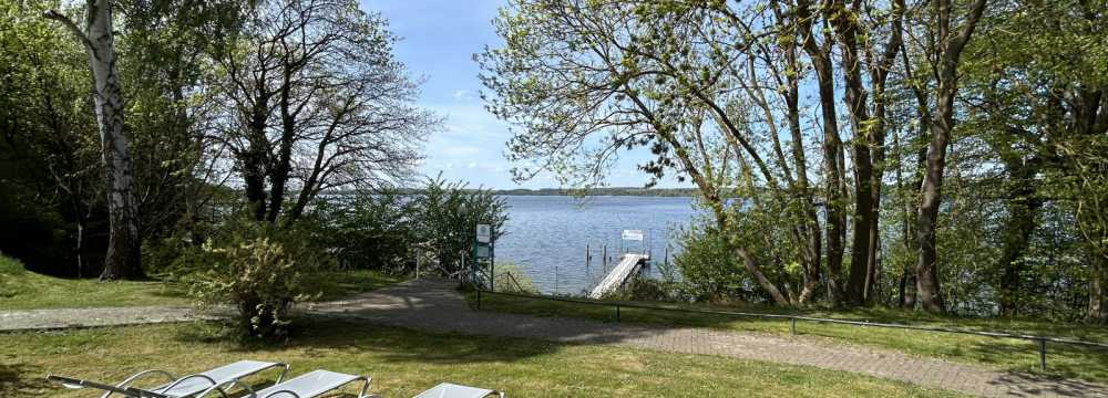 LakeBite