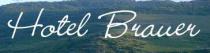 Logo Hotel Brauer